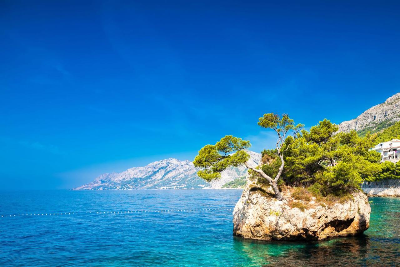 Bluesun Mala Berulia Otel Brela Dış mekan fotoğraf