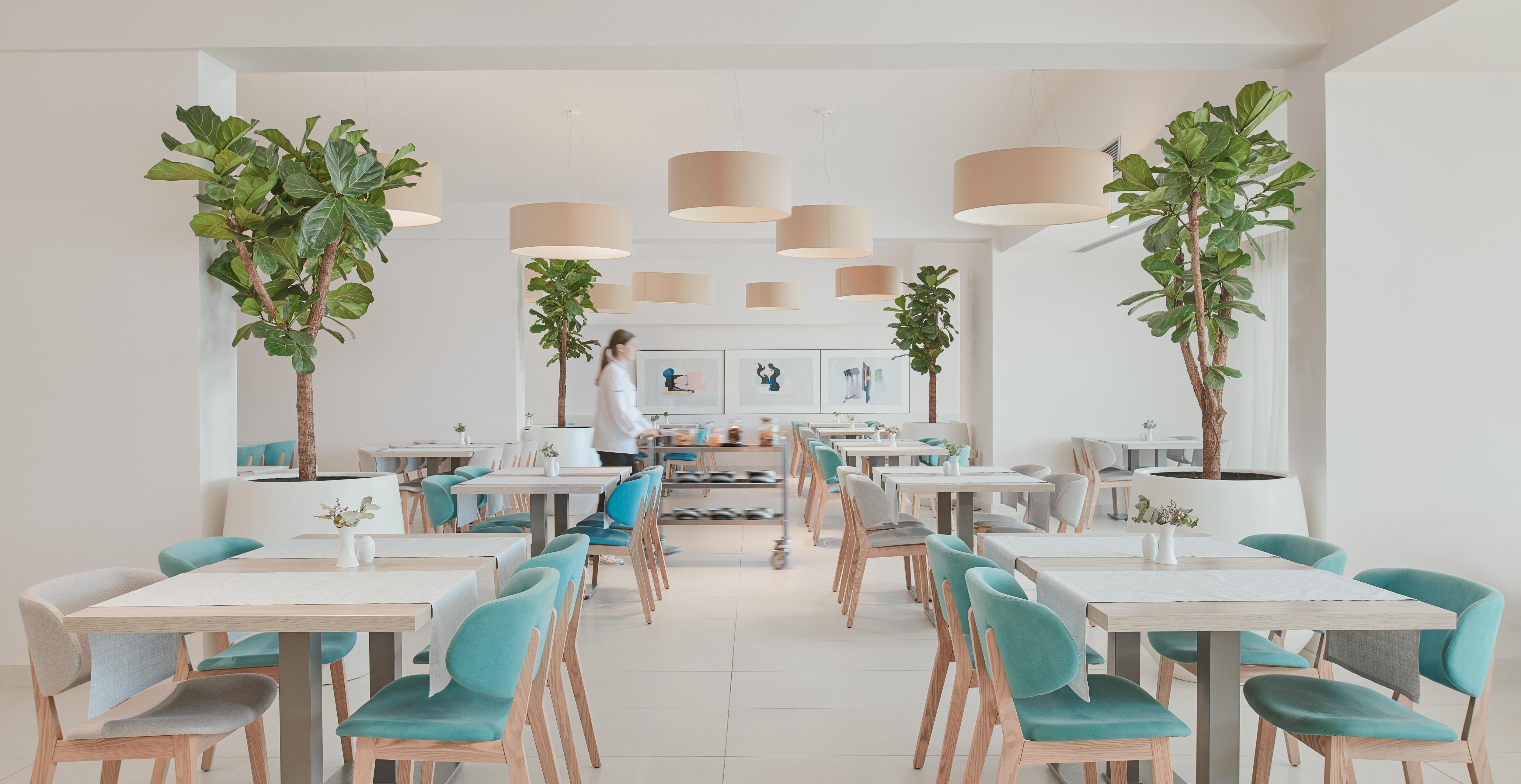 Bluesun Mala Berulia Otel Brela Dış mekan fotoğraf