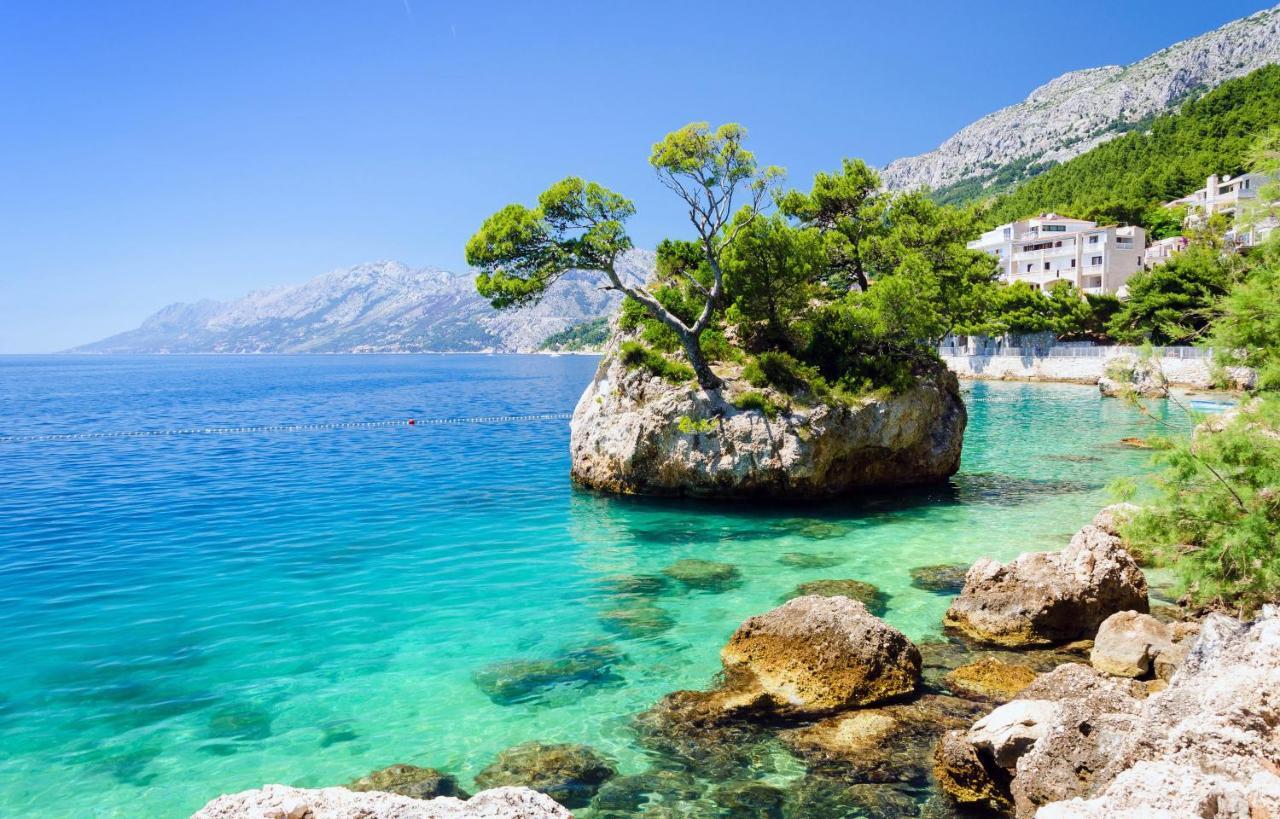 Bluesun Mala Berulia Otel Brela Dış mekan fotoğraf